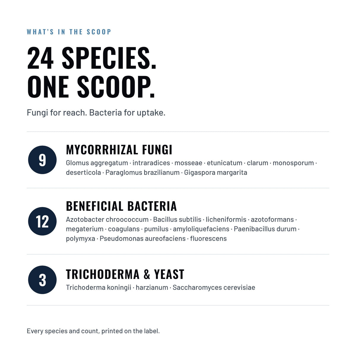 Great White Premium Mycorrhizae 24 species in one scoop: 9 mycorrhizal fungi, 12 beneficial bacteria, and 3 more (2 Trichoderma plus Saccharomyces), every species and count printed on the label.