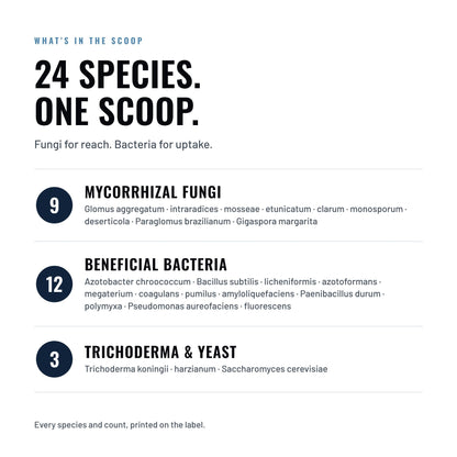 Great White Premium Mycorrhizae 24 species in one scoop: 9 mycorrhizal fungi, 12 beneficial bacteria, and 3 more (2 Trichoderma plus Saccharomyces), every species and count printed on the label.