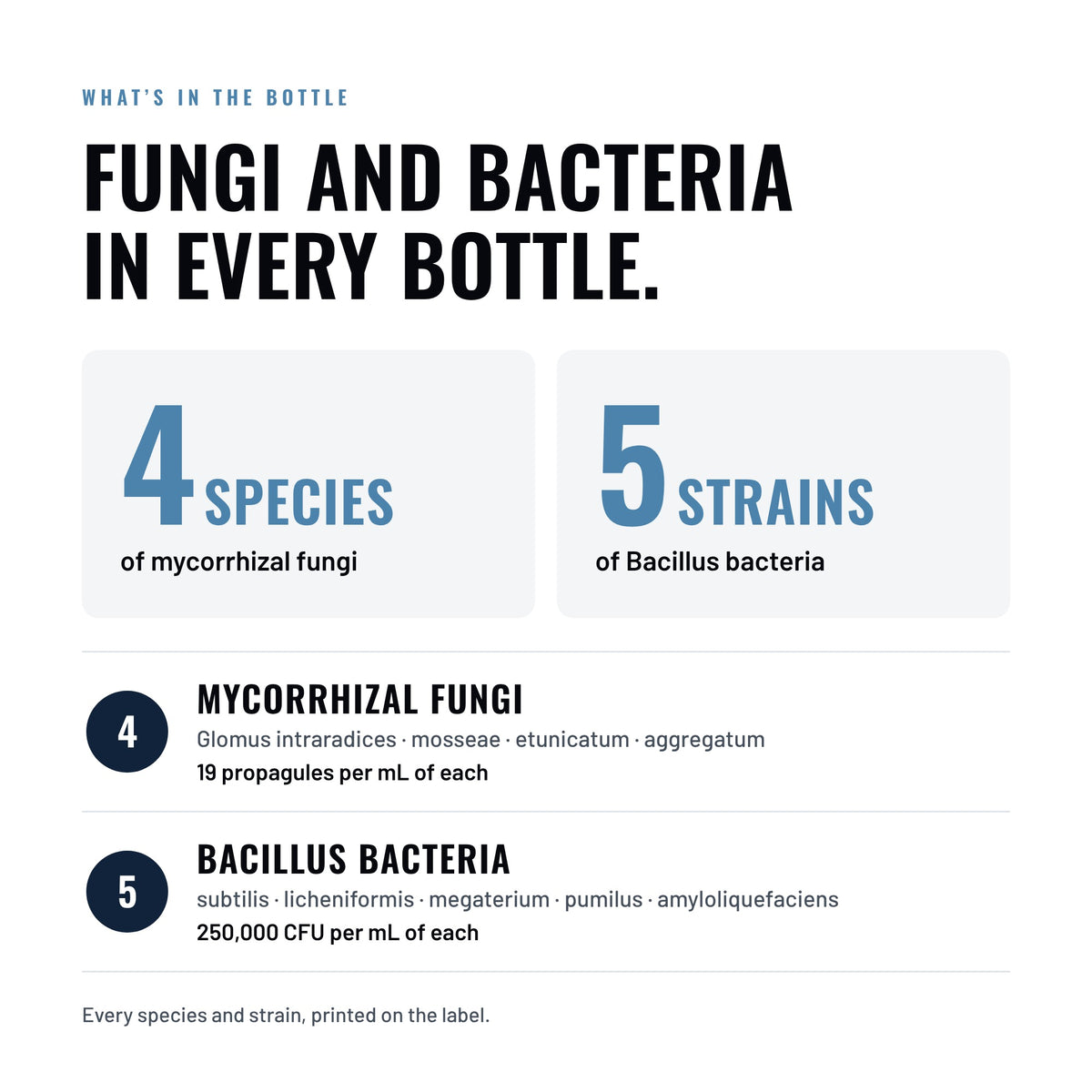 What's in Orca Liquid Mycorrhizae: 4 species of mycorrhizal fungi at 19 propagules per mL each, and 5 Bacillus bacteria strains at 250,000 CFU per mL each. Every species and strain is printed on the label.